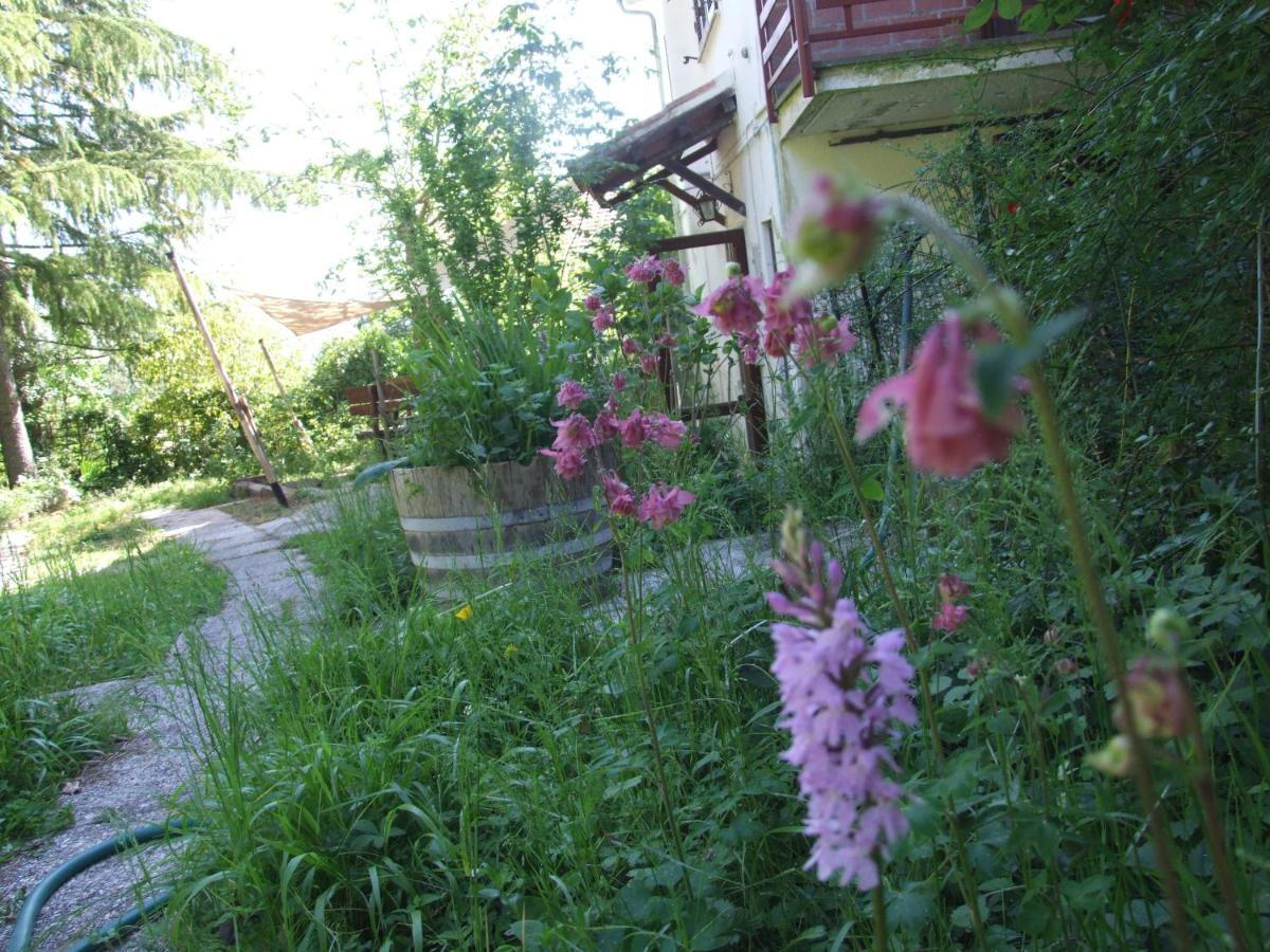 Vacanze Toscane In The Country - Villa Agrifogli Sassetta Eksteriør billede
