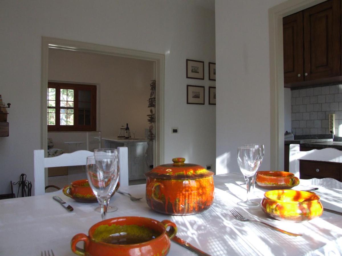Vacanze Toscane In The Country - Villa Agrifogli Sassetta Eksteriør billede