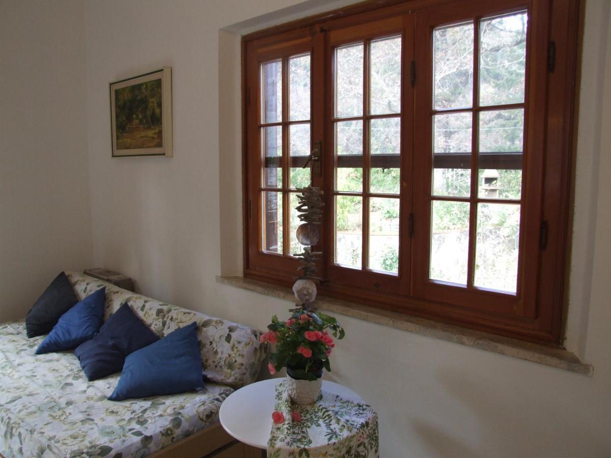 Vacanze Toscane In The Country - Villa Agrifogli Sassetta Eksteriør billede